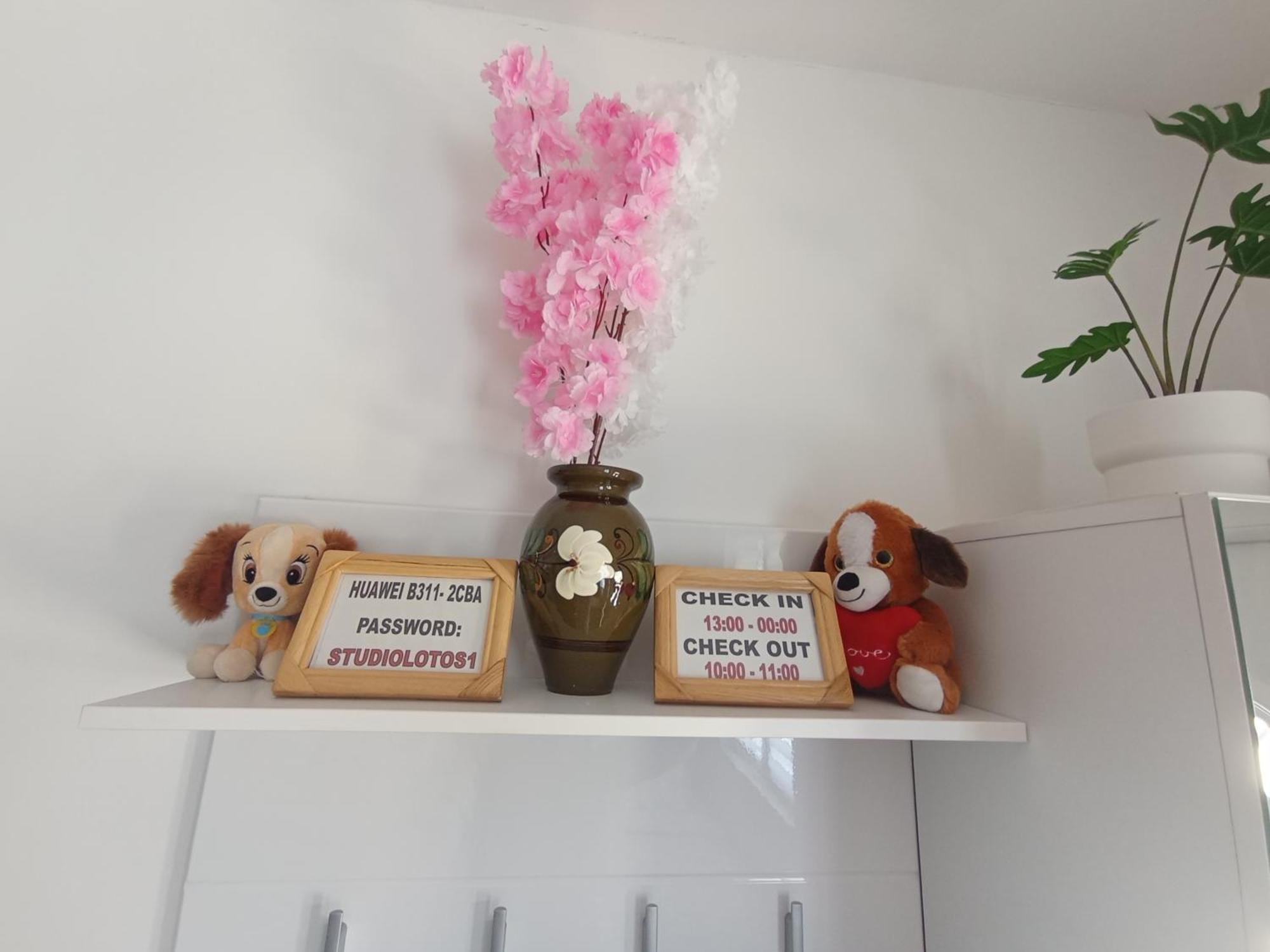 Studio Lotos Beograd Ngoại thất bức ảnh
